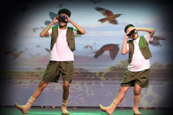 Cópia de IMG_7144 copiar